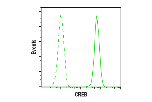 Flow Cytometry Image 1: CREB (48H2) Rabbit Monoclonal Antibody (BSA and Azide Free)