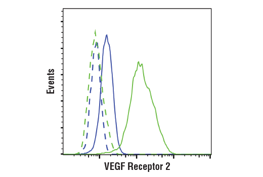 undefined Image 12: Phospho-VEGF Receptor 2 Antibody Sampler Kit