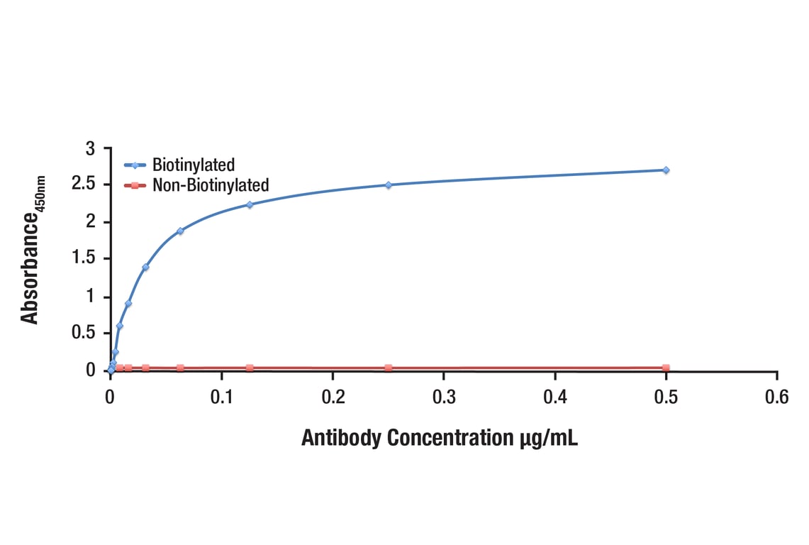 E Image 1: Ubiquitin (E4I2J) Rabbit Monoclonal Antibody (Biotinylated)