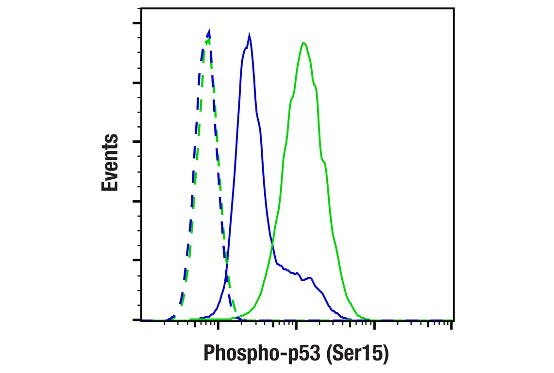 Flow Cytometry Image 1: Phospho-p53 (Ser15) (E9Y4U) Rabbit Monoclonal Antibody