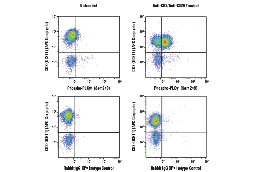 undefined Image 38: Angiogenesis Antibody Sampler Kit