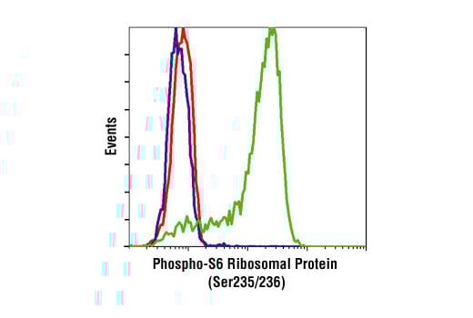Flow Cytometry Image 1: Phospho-S6 Ribosomal Protein (Ser235/236) (2F9) Rabbit Monoclonal Antibody