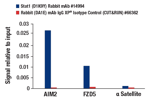 undefined Image 42: Stat Antibody Sampler Kit II