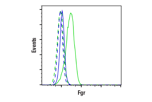 Flow Cytometry Image 1: Fgr Antibody