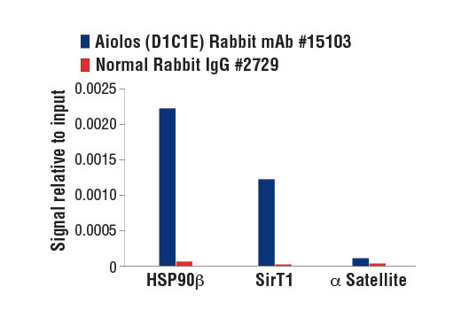 Chromatin Immunoprecipitation Image 3: Aiolos (D1C1E) Rabbit Monoclonal Antibody