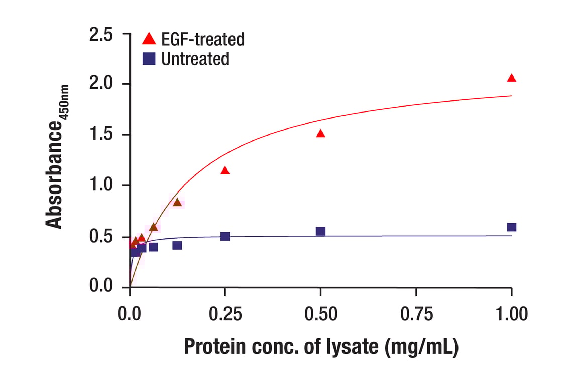 ELISA Image 3: PathScan<sup>®</sup> Phospho-Stat5 (Tyr694) Sandwich ELISA Kit