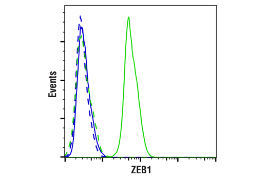 Flow Cytometry Image 1: ZEB1 (E2G6Y) Rabbit Monoclonal Antibody (BSA and Azide Free)