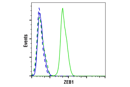 Flow Cytometry Image 1: ZEB1 (E2G6Y) XP<sup>®</sup> Rabbit mAb (BSA and Azide Free)