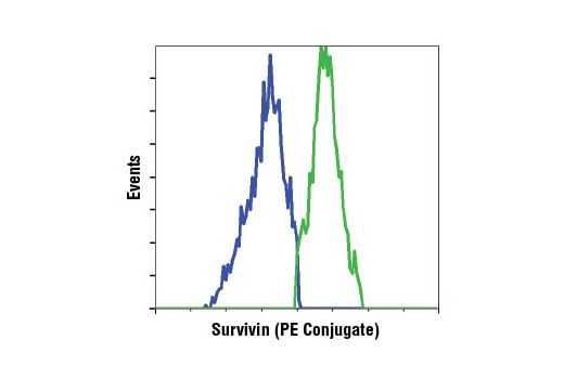 Flow Cytometry Image 2: Survivin (71G4B7) Rabbit Monoclonal Antibody (PE Conjugate)