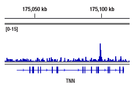 undefined Image 5: PBAF Complex Antibody Sampler Kit