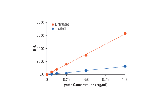 undefined Image 3: Cellular Glutathione Detection Assay Kit