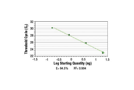 Chromatin Immunoprecipitation Image 2: SimpleChIP<sup>®</sup> Human IkappaB alpha Promoter Primers