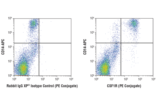 Flow Cytometry Image 1: CSF-1R/M-CSF-R (D3O9X) XP<sup>®</sup> Rabbit mAb (PE Conjugate)