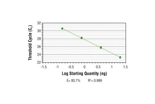 Chromatin Immunoprecipitation Image 2: SimpleChIP<sup>®</sup> Human SLC19A2 Promoter Primers