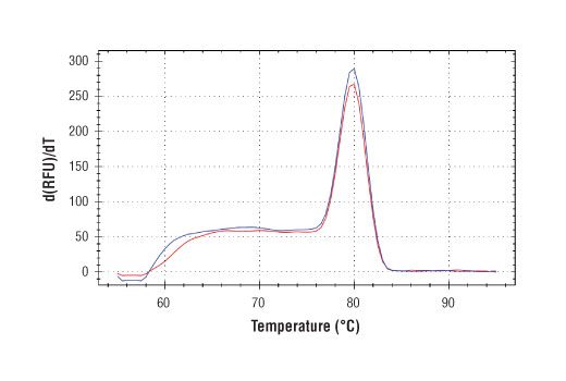 Chromatin Immunoprecipitation Image 1: SimpleChIP<sup>®</sup> Human C/EBPδ Promoter Primers