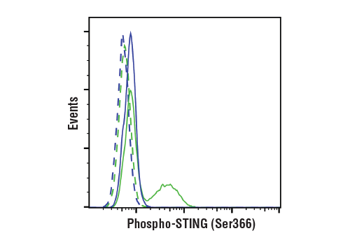 Flow Cytometry Image 1: Phospho-STING (Ser366) (E9A9K) Rabbit Monoclonal Antibody