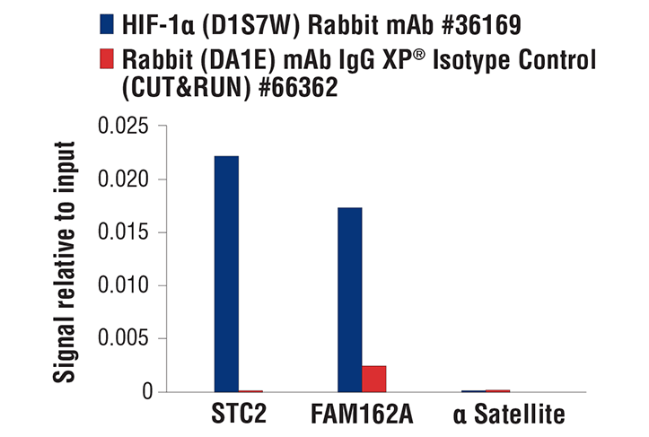 undefined Image 67: Microglia Neurodegeneration Module Antibody Sampler Kit