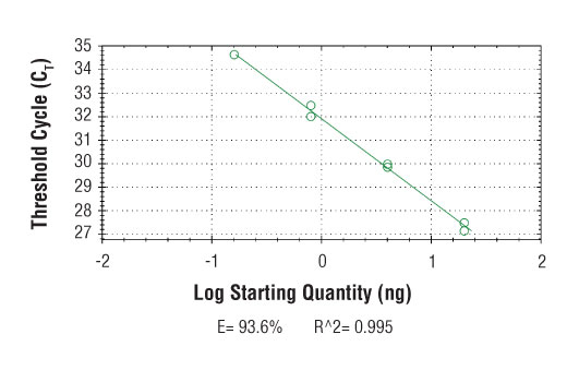 Chromatin Immunoprecipitation Image 2: SimpleChIP<sup>®</sup> Mouse TXNIP Promoter Primers