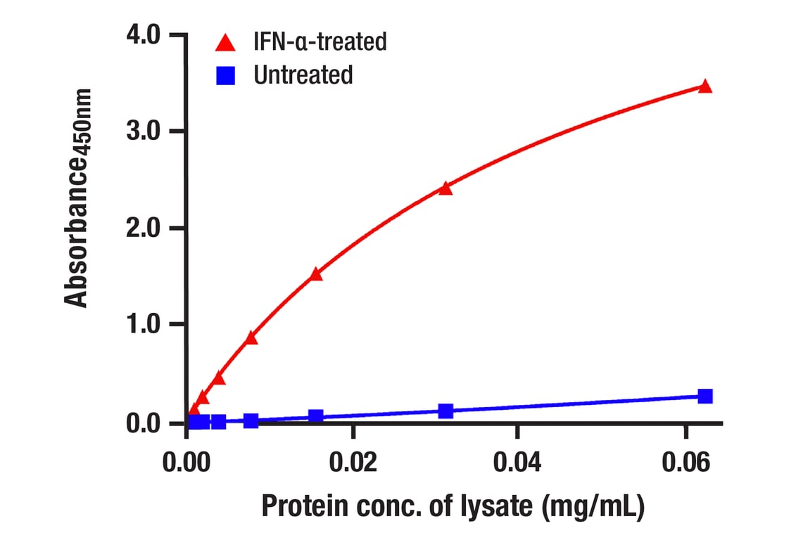 ELISA and/or ELISA-like Assays Image 2: Stat3 (52F7) Rabbit Monoclonal Antibody (BSA and Azide Free)