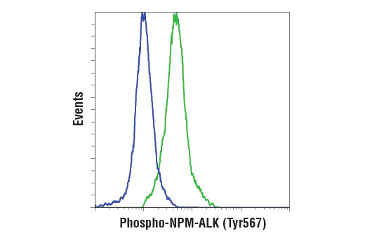 Flow Cytometry Image 1: Phospho-ALK (Tyr1507) (D6F1V) Rabbit Monoclonal Antibody