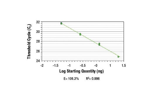 Chromatin Immunoprecipitation Image 2: SimpleChIP<sup>®</sup> Human FKBP51 Intron 5 Primers