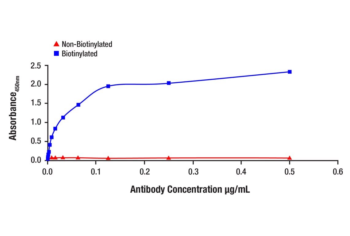 ELISA and/or ELISA-like Assays Image 1: Androgen Receptor (D6F11) Rabbit Monoclonal Antibody (Biotinylated)
