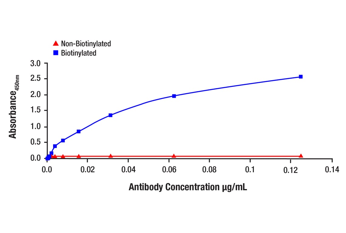 E Image 1: Phospho-p44/42 MAPK (Erk1/2) (Thr202/Tyr204) (197G2) Rabbit Monoclonal Antibody (Biotinylated)
