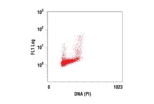 Flow Cytometry Image 1: Phospho-TCTP (Ser46) Antibody