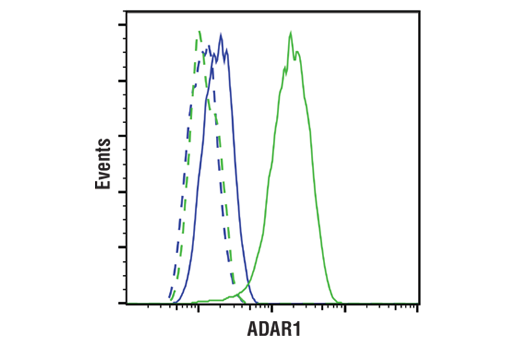 Flow Cytometry Image 1: ADAR1 (E6X9R) Rabbit Monoclonal Antibody (BSA and Azide Free)