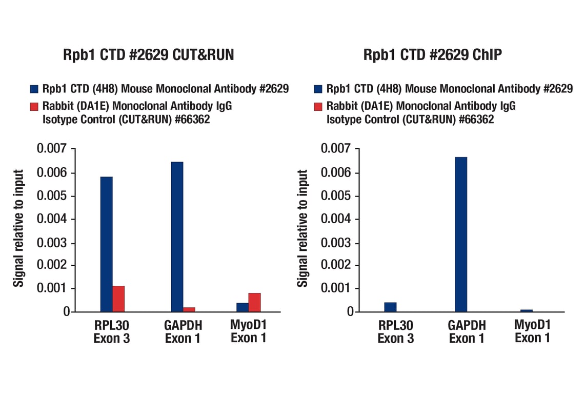CUT & RUN Image 11: CUT&RUN Assay Kit