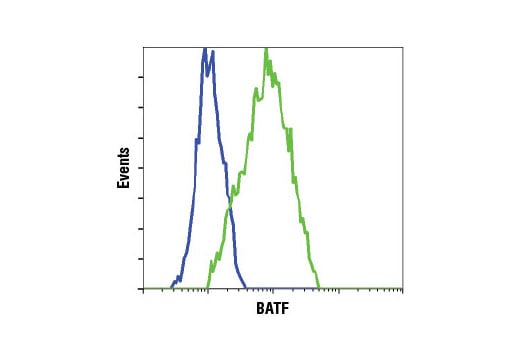 Flow Cytometry Image 1: BATF (D7C5) Rabbit Monoclonal Antibody (BSA and Azide Free)