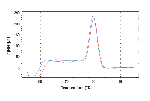 undefined Image 2: SimpleChIP<sup>®</sup> Human ASXL1 Upstream Primers
