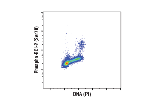 undefined Image 13: Pro-Survival Bcl-2 Family Antibody Sampler Kit