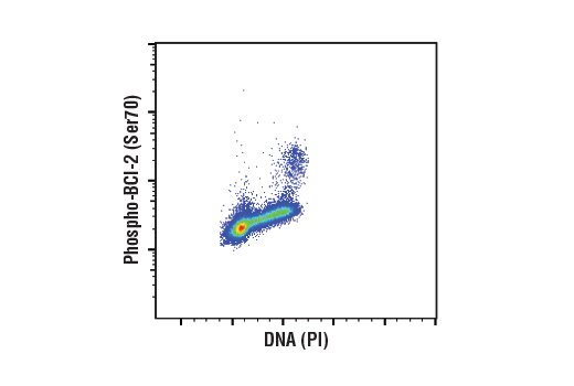 undefined Image 22: Pro-Survival Bcl-2 Family Antibody Sampler Kit II