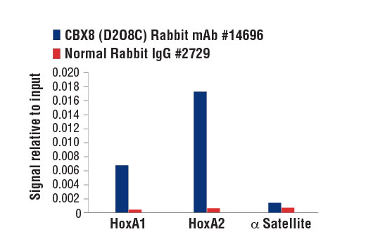 Chromatin Immunoprecipitation Image 3: CBX8 (D2O8C) Rabbit Monoclonal Antibody