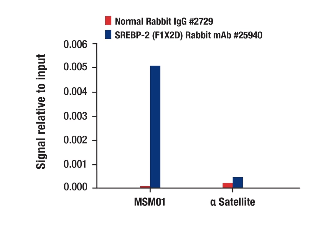 Chromatin Immunoprecipitation Image 1: SREBP-2 (F1X2D) Rabbit Monoclonal Antibody