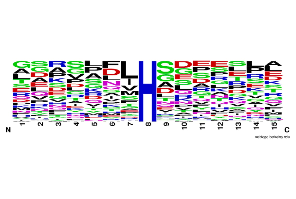 PTMScan Image 2: PTMScan<sup>®</sup> Methyl Histidine Motif (me-H) Kit