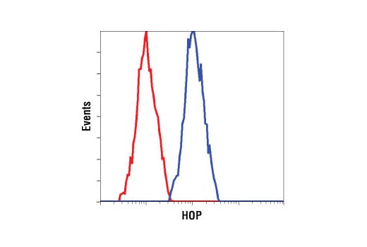 Flow Cytometry Image 1: HOP (D10E2) Rabbit Monoclonal Antibody