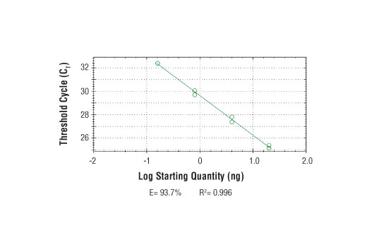 Chromatin Immunoprecipitation Image 2: SimpleChIP<sup>®</sup> Human MEF2A Exon 1 Primers