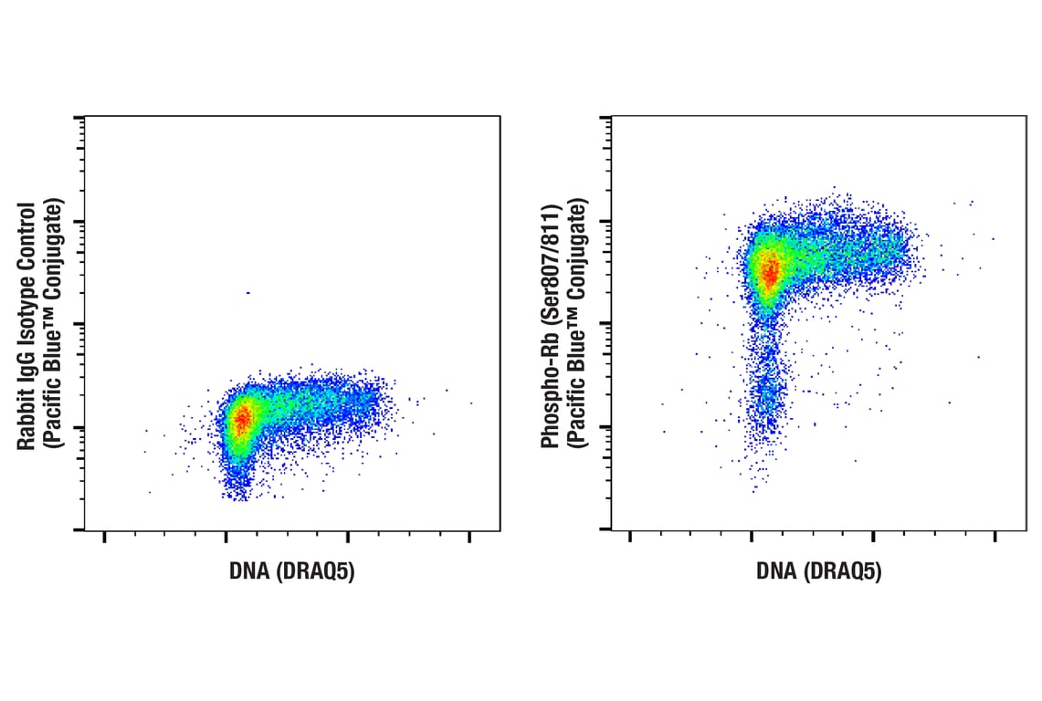 Flow Cytometry Image 2: Phospho-Rb (Ser807/811) (D20B12) Rabbit Monoclonal Antibody (Pacific Blue<sup>™</sup> Conjugate)