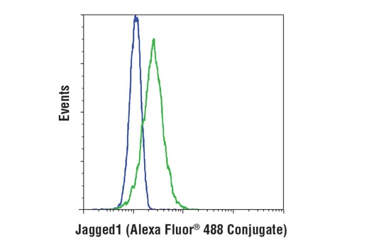 Flow Cytometry Image 1: Jagged1 (D4Y1R) XP<sup>®</sup> Rabbit mAb (Alexa Fluor<sup>®</sup> 488 Conjugate)