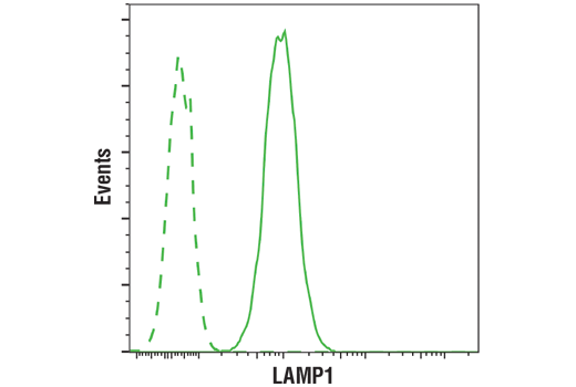 undefined Image 32: Organelle Localization IF Antibody Sampler Kit