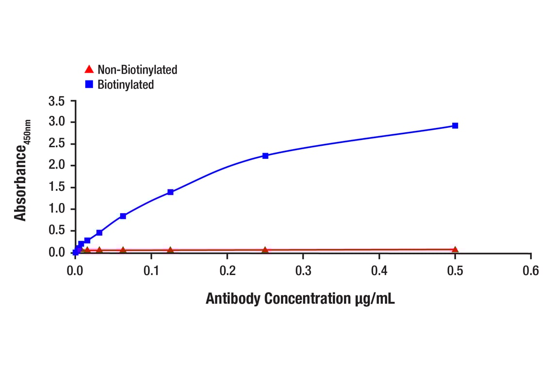 E Image 1: Akt (pan) (C67E7) Rabbit Monoclonal Antibody (Biotinylated)