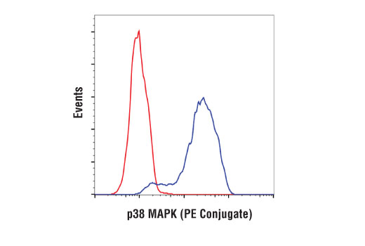 Flow Cytometry Image 1: p38 MAPK (D13E1) XP<sup>®</sup> Rabbit mAb (PE Conjugate)
