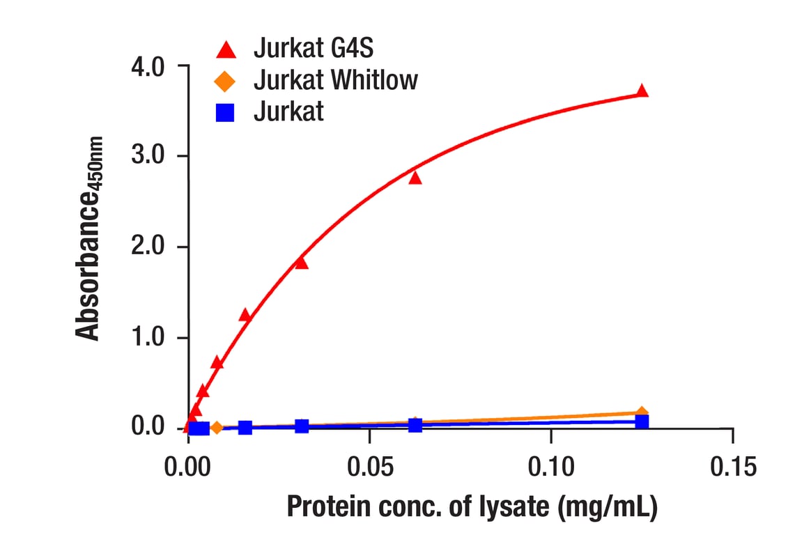 ELISA and/or ELISA-like Assays Image 2: G4S Linker (E7O2V) Rabbit Monoclonal Antibody (BSA and Azide Free)