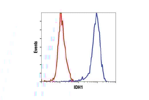 Flow Cytometry Image 1: IDH1 (D2H1) Rabbit Monoclonal Antibody (BSA and Azide Free)