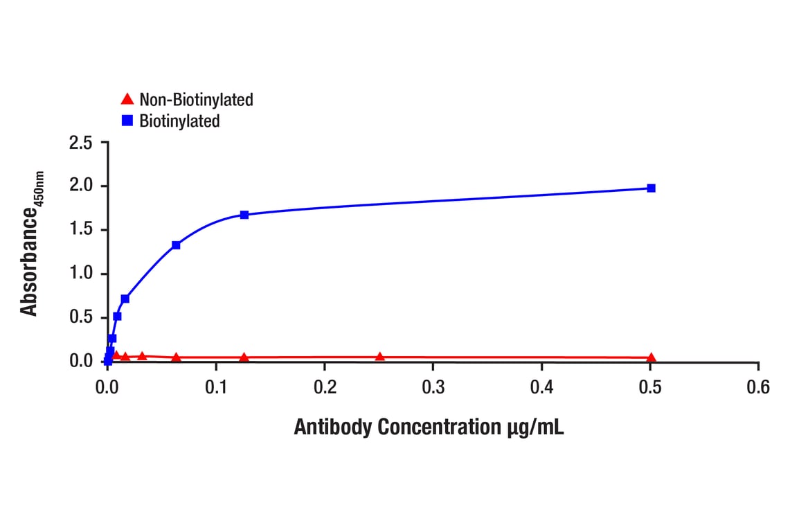 ELISA and/or ELISA-like Assays Image 1: PD-L1 (E1L3N) Rabbit Monoclonal Antibody (Biotinylated)