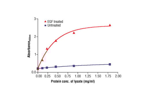 ELISA Image 2: PathScan<sup>®</sup> Phospho-Stat3 (Ser727) Sandwich ELISA Kit