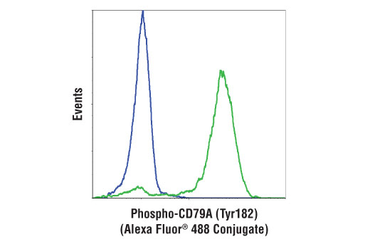 Flow Cytometry Image 1: Phospho-CD79A (Tyr182) (D1B9) Rabbit Monoclonal Antibody (Alexa Fluor<sup>®</sup> 488 Conjugate)