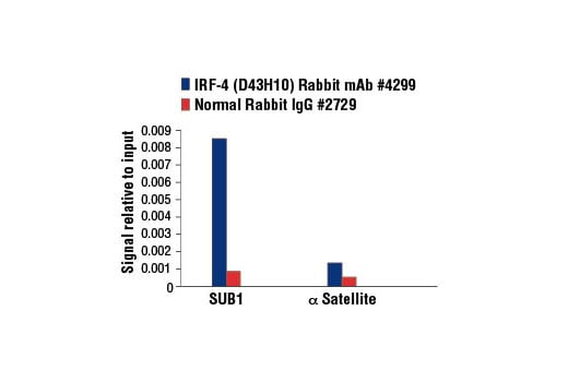 Chromatin Immunoprecipitation Image 1: IRF-4 (D43H10) Rabbit Monoclonal Antibody